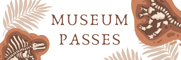 Decorative banner with shades of white, tans, and browns. Fossils and leaves. In the middle it stats 
